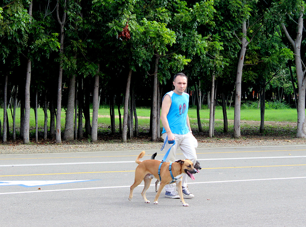 Área de juegos para niños. - Parque Central de Santiago