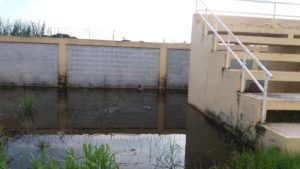 Escuela básica General José de San Martín, zona donde han sido detectados casos de malaria. Foto Genrris Agramonte