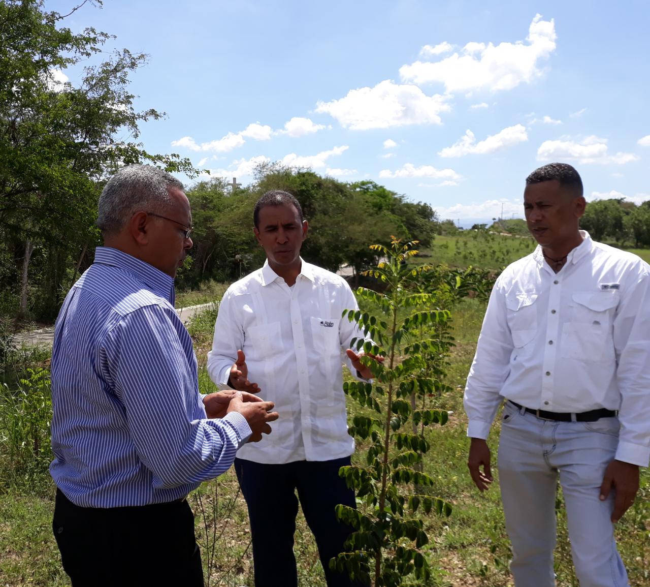 CONCADOM, en alianza con el Centro de Innovación Atabey, Trasplansa y Cilpen Global Quality Recycling realizó la “Ruta de la Caoba"