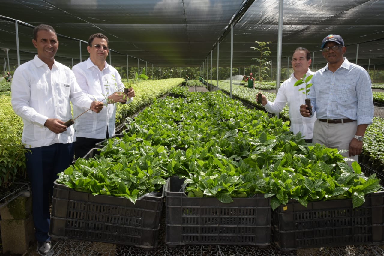 Anunciaron la jornada masiva de siembra de caoba, Caobatón 2018,