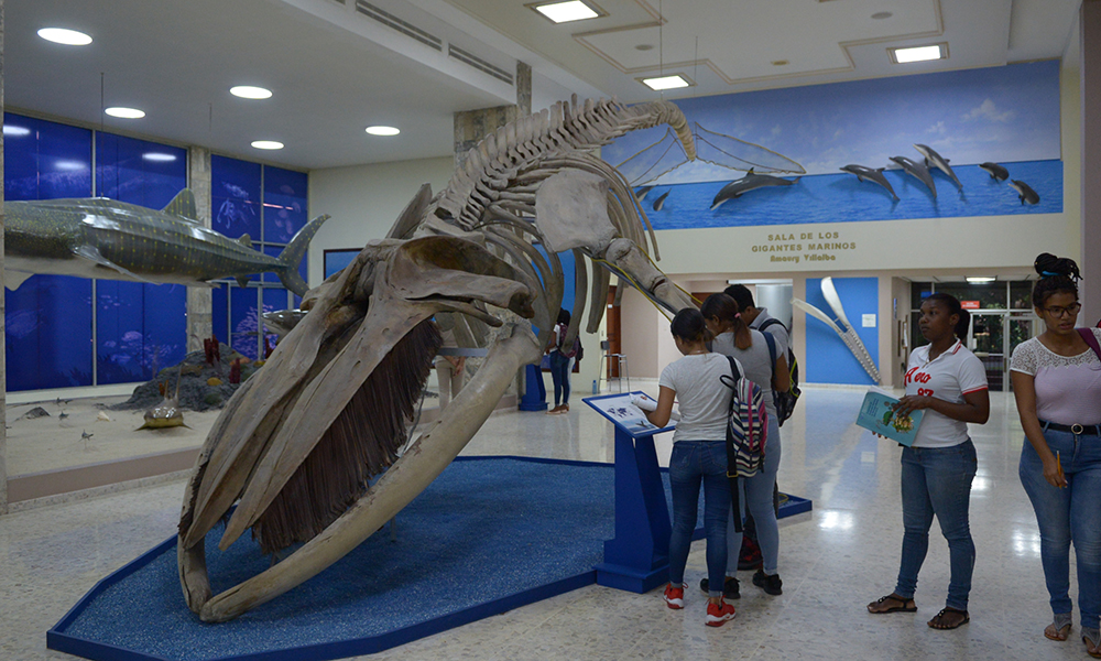 El Museo De Historia Natural