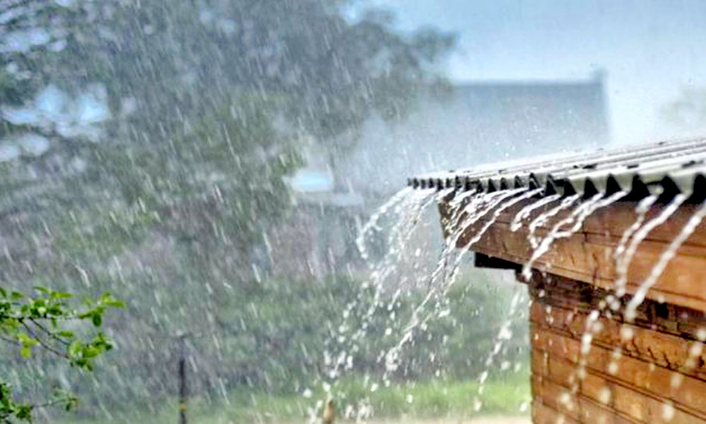 Ministerio de Agricultura informa tormenta tropical Fred no causó daños al sector agrícola