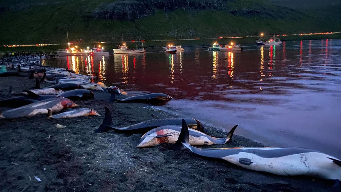 Cacería de delfines