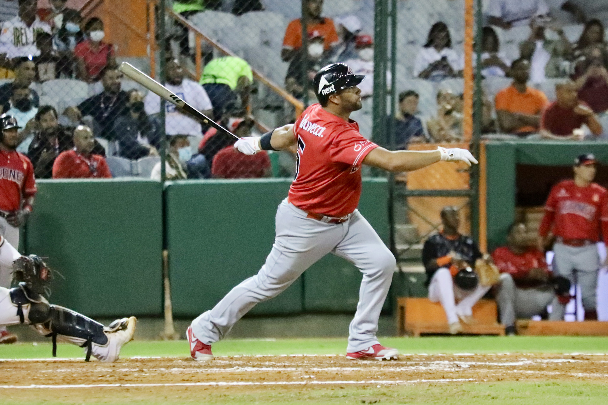 Albert Pujols jugará hoy último partido con los Leones - Periódico elCaribe