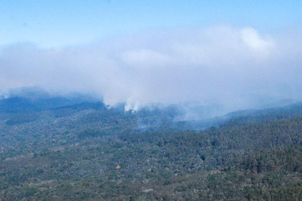 Medio Ambiente controla 3 incendios que desde finales del 2021 afectan Sierra de Bahoruco