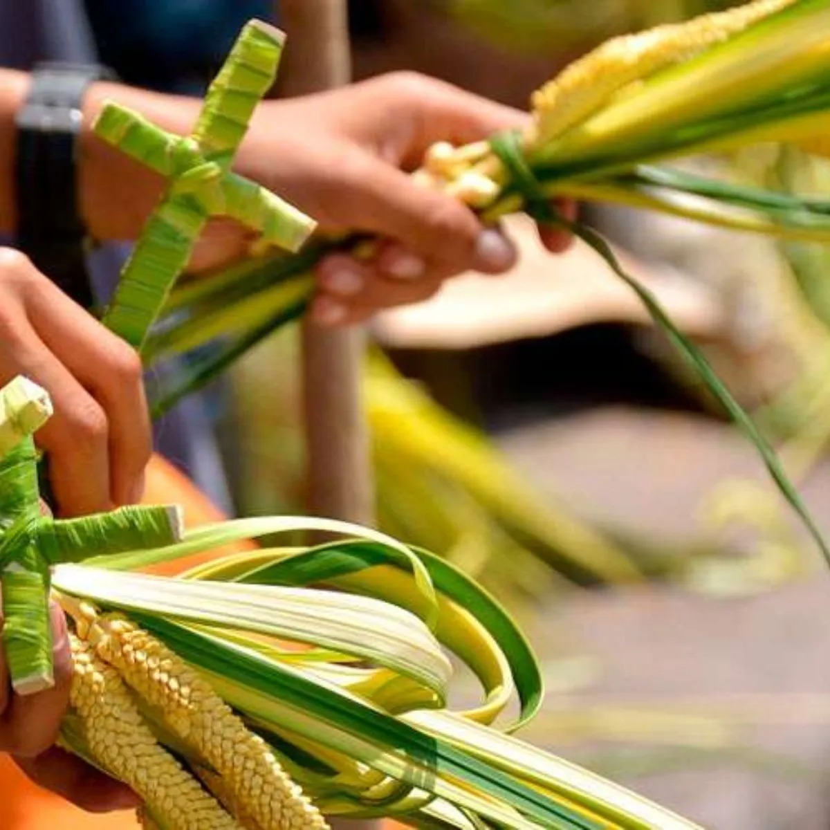 El Domingo de Ramos: dando inicio a la Semana Santa