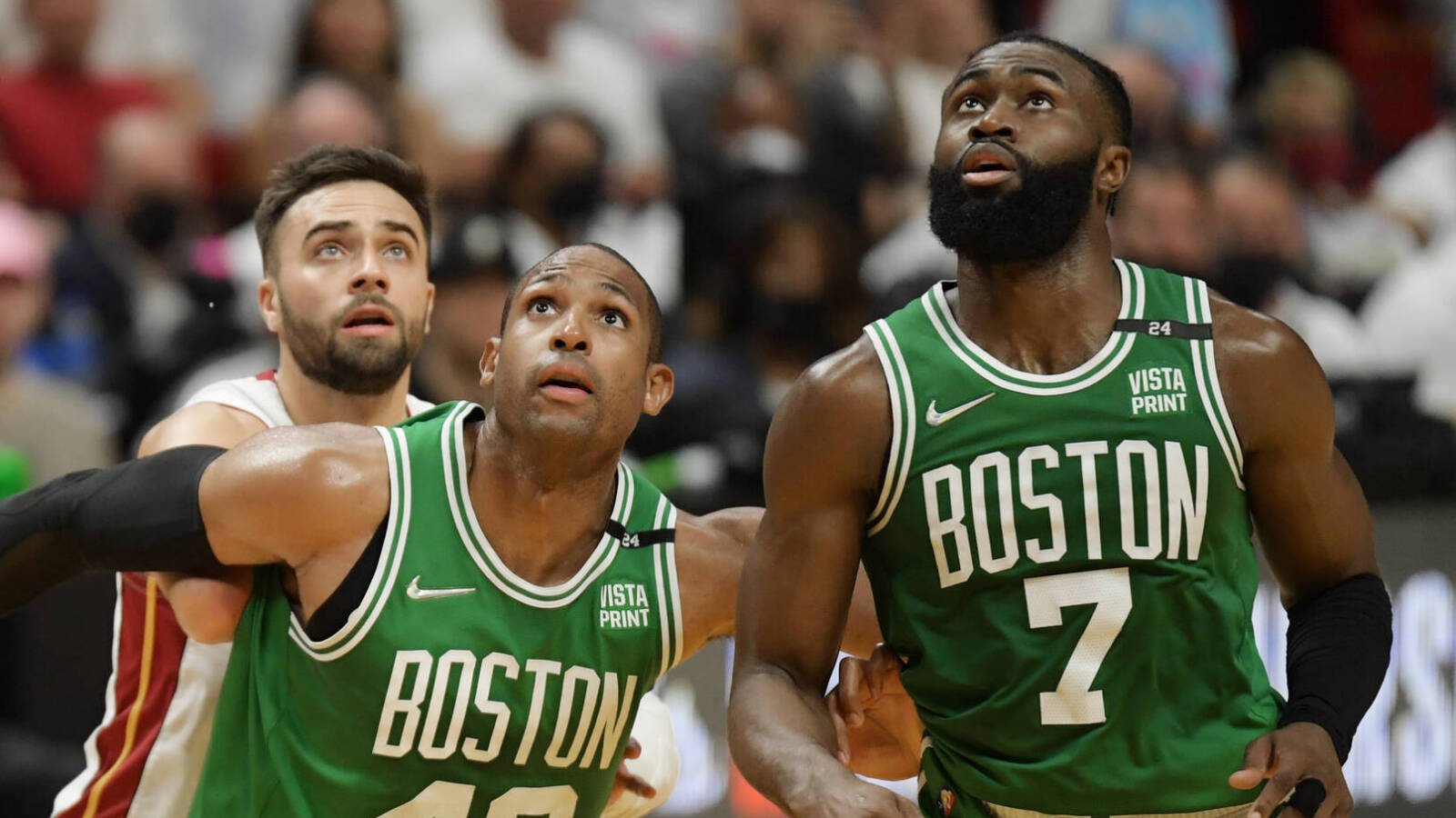 El detalle en la "cédula dominicana" de Jaylen brown que nadie vio